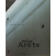 Wiel Arets