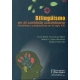 Bilinguismo En El Contexto Colombiano Iniciativas Y Perspectivas En El Siglo Xxi