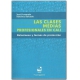 Clases Medias Profesionales En Cali. Relaciones Y Formas De Proteccion, Las