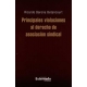 Principales Violaciones Al Derecho De Asociacion Sindical