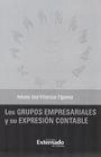 Grupos Empresariales Y Su Expresion Contable, Los