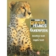 Diario de grandes felinos: guepardos