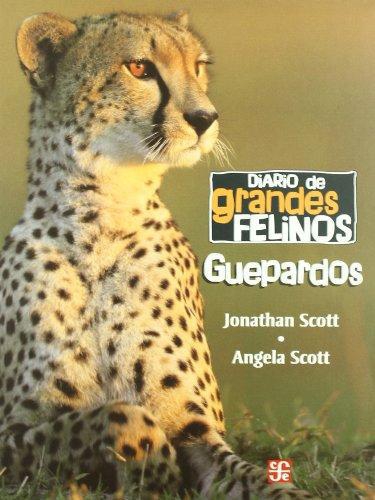 Diario de grandes felinos: guepardos