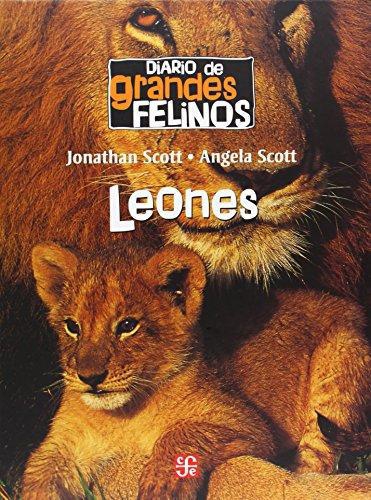 Diario de grandes felinos: leones