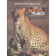 Diario de grandes felinos: leopardos