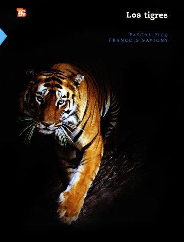 Tigres, Los