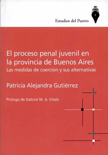 Proceso Penal Juvenil En La Provincia De Buenos Aires, El