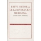 Breve historia de la revolución mexicana