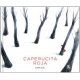 Caperucita Roja