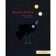Pico en el aire