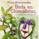 Boda en chimalistac