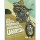 Osos hibernan soñando que son lagartijas, Los