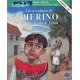 Aventuras de Pierino en el mercado de luino, Las