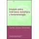 Ensayos Sobre Jose Gaos: Metafisica Y Fenomenologia