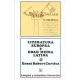 Literatura europea y edad media latina, I