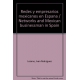 Redes y empresarios mexicanos en España