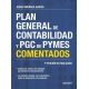 Plan General De Contabilidad Y Pgc De Pymes Comerciales