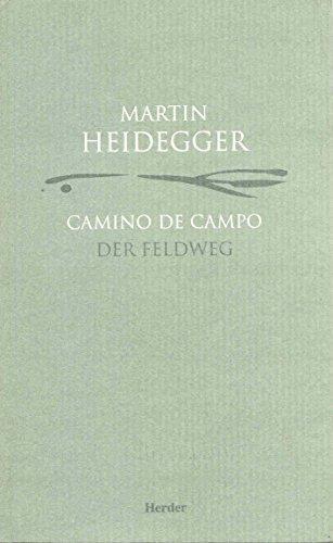 Camino De Campo / Der Feldweg