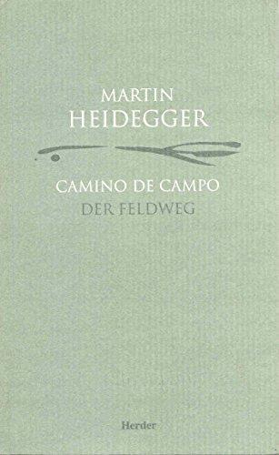 Camino De Campo / Der Feldweg