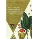 Cacao Produccion Consumo Y Comercio Del Periodo Prehispanico A La Actualidad En America Latina