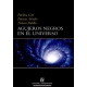 Agujeros Negros En El Universo