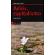 Adios Capitalismo. 15M-2031