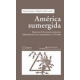 America Sumergida Impactos De Los Nuevos Proyectos Hidroelectricos En Latinoamerica