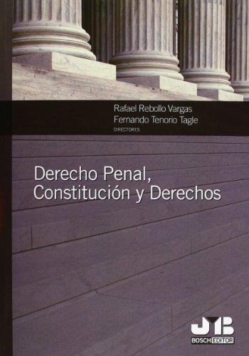 Derecho Penal Constitucion Y Derechos