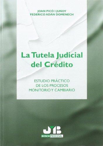Tutela Judicial Del Credito, La