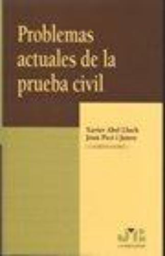 Problemas Actuales De La Prueba Civil