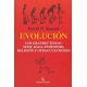 Evolucion Los Grandes Temas: Sexo Raza Feminismo Religion Y Otras Cuestiones