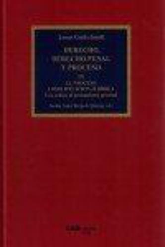 Derecho Derecho Penal Y Proceso Iii El Proceso Como Situacion Juridica Una Critica Al Pensamiento Procesal