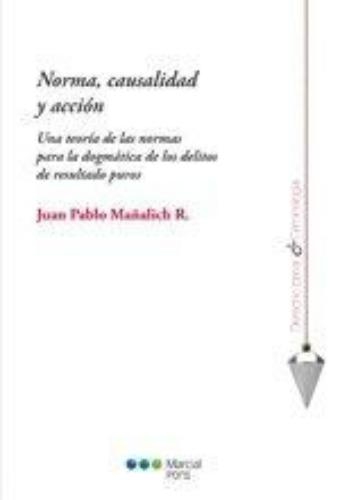 Norma Causalidad Y Accion. Una Teoria De Las Normas Para La Dogmatica De Los Delitos De Resultado Puros