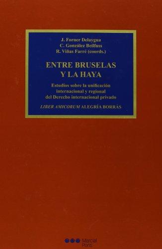 Entre Bruselas Y La Haya Estudios Sobre La Unificacion Internacional Y Regional Del Derecho Internacional