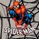 World According To  Spiderman