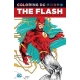 Coloring Dc Flash