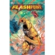Comic Flashpoint World Of Flashpoint