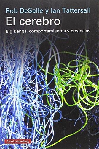 Cerebro,El