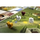 Viticulture