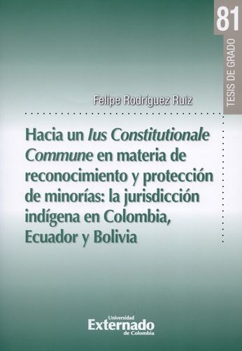 Hacia Un Ius Constitutionale Commune En Materia De Reconocimiento Y Proteccion De Minorias