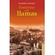 Esmirna en llamas