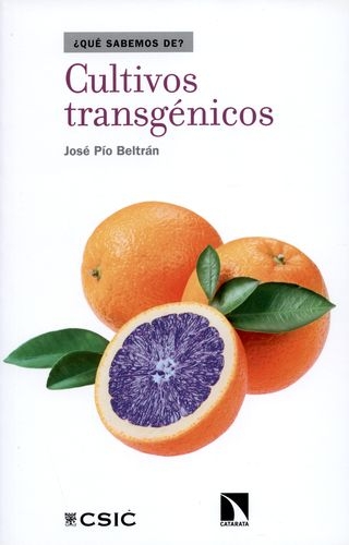 Cultivos Transgenicos