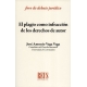 Plagio Como Infraccion De Los Derechos De Autor, El