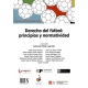Derecho Del Futbol Principios Y Normatividad