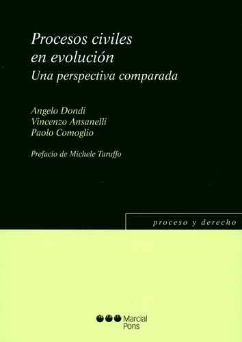 Procesos Civiles En Evolucion. Una Perspectiva Comparada