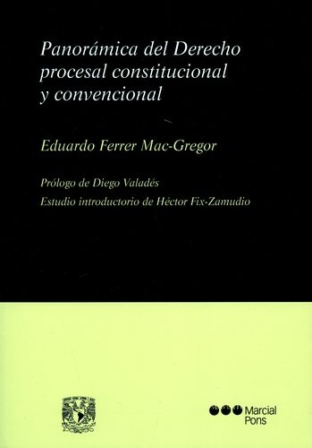 Panoramica Del Derecho Procesal Constitucional Y Convencional