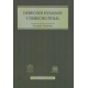 Derechos Humanos Y Derecho Penal