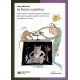 Fisica Cuantica Todo Sobre La Teoria Capaz De Explicar Por Que Los Gatos Pueden Estar Vivos Y Muertos A La Vez