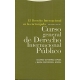 Derecho Internacional En La (3ª Ed) Encrucijada, El
