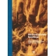 Neuroanatomia Funcional